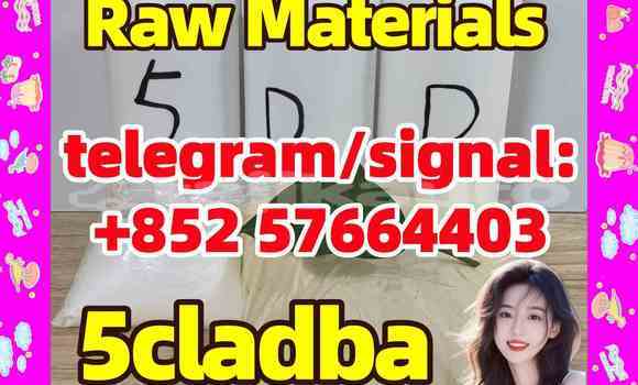 Medium with watermark 58