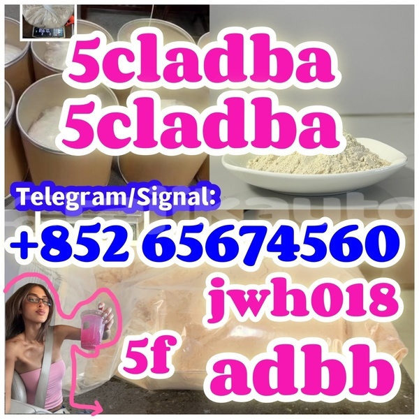 Big with watermark %e6%90%93%e8%bd%ae%e8%9b%8b%e9%bb%84 %e5%89%af%e6%9c%acdfbhfhhb