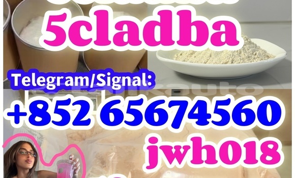 Medium with watermark %e6%90%93%e8%bd%ae%e8%9b%8b%e9%bb%84 %e5%89%af%e6%9c%acdfbhfhhb