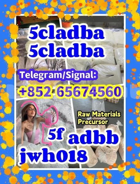 Big with watermark quanbu %e5%89%af%e6%9c%acfsdgvbdfb