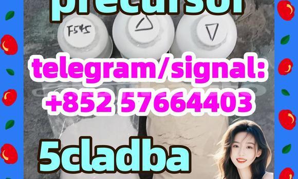 Buy 5cl-adb 5cladba 5cladb in Buston in Sughd Buy 5cl-adb 5cladba 5cladb in Buston in Sughd