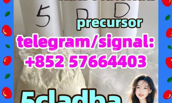 Medium with watermark 58