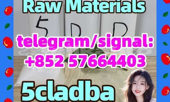 Medium with watermark 51