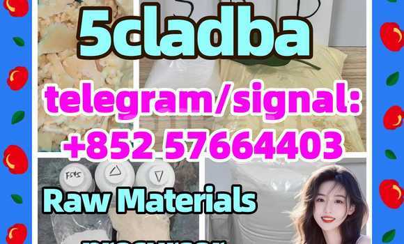Medium with watermark 52