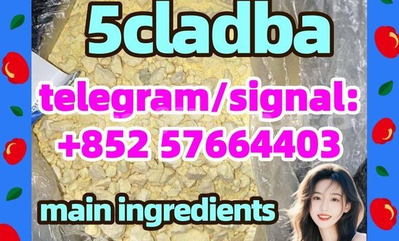 Medium with watermark 53