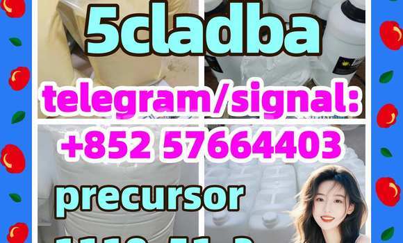 Medium with watermark 54
