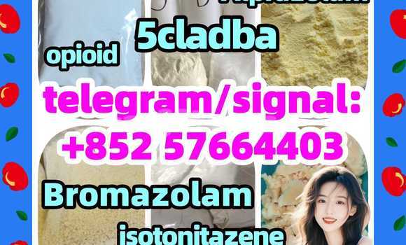 Medium with watermark z1