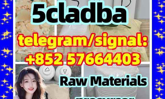 Buy 5CL-ADB-A 5CLADBA 5F-ADB in Dangara in Khatlon Buy 5CL-ADB-A 5CLADBA 5F-ADB in Dangara in Khatlon