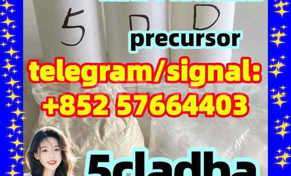 Medium with watermark 53