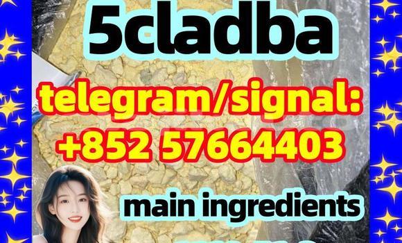 Medium with watermark 55