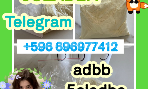 Medium with watermark 1.6