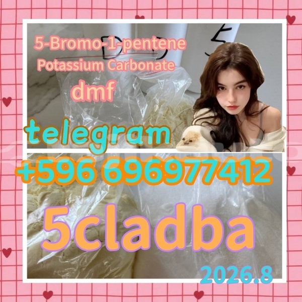 Big with watermark 8.24