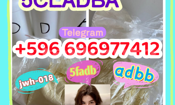 Medium with watermark 1.23