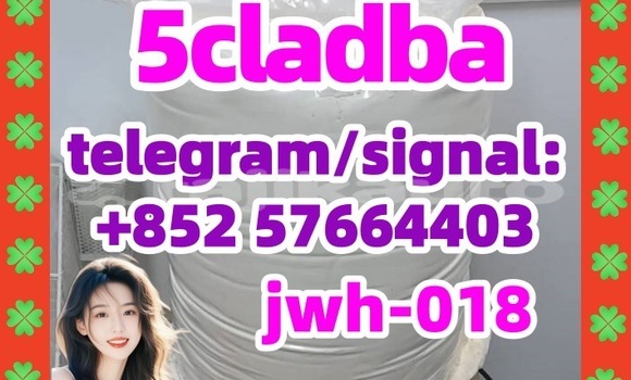 Medium with watermark 51