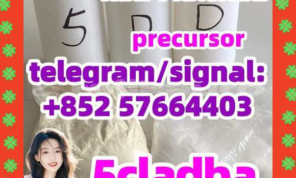 Medium with watermark 52