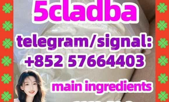 Medium with watermark 53