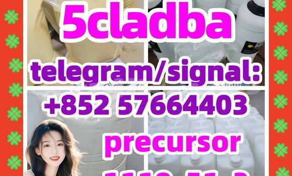 Medium with watermark 54
