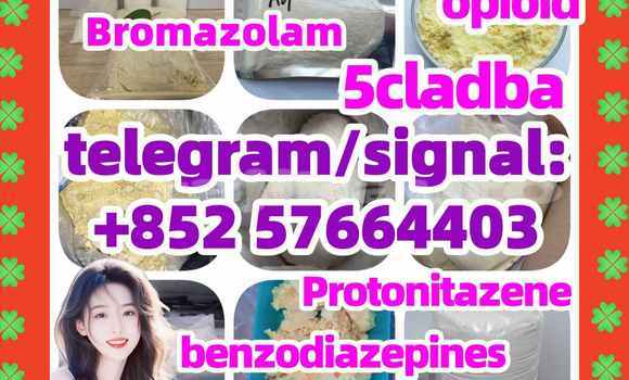 Medium with watermark z1